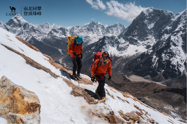 骆驼凭什么登顶珠峰?