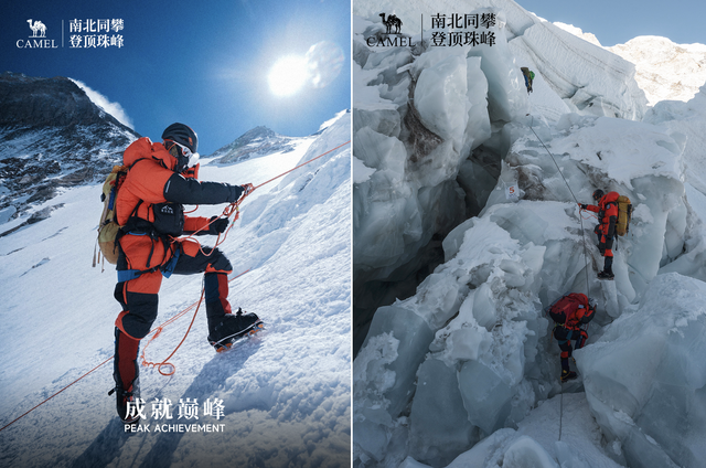 骆驼凭什么登顶珠峰?